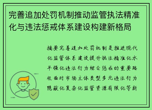 完善追加处罚机制推动监管执法精准化与违法惩戒体系建设构建新格局 完善追加处罚机制推动监管执法精准化与违法惩戒体系建设构建新格局