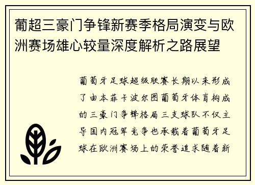 葡超三豪门争锋新赛季格局演变与欧洲赛场雄心较量深度解析之路展望